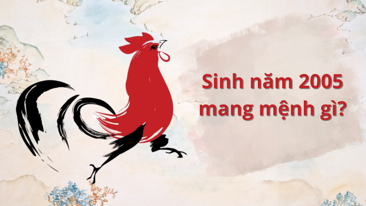 Người sinh năm 2005 mệnh gì, hợp màu gì, hợp tuổi nào