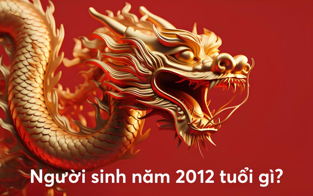 Người sinh năm 2012 thuộc tuổi gì?