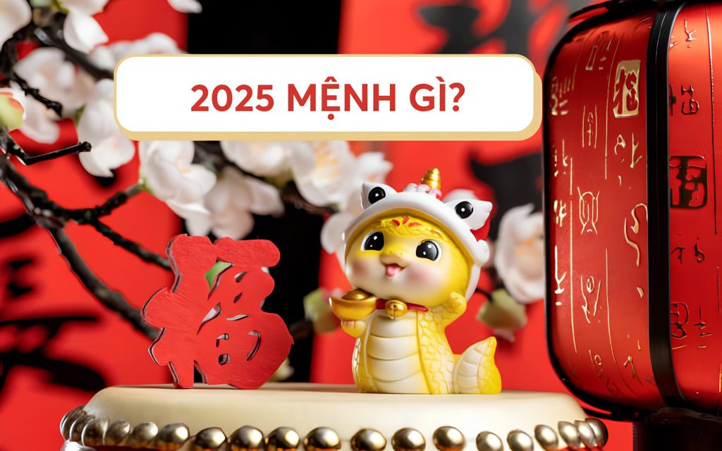 Người sinh năm 2025 là mệnh gì?