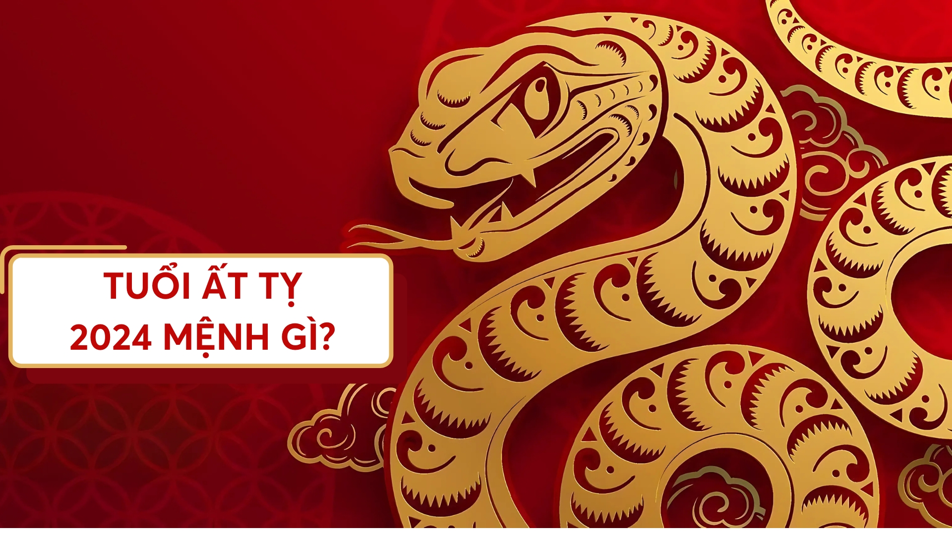 Năm 2025 mệnh gì tuổi gì