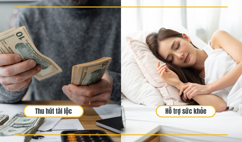Băng ngọc thủy tảo có tác dụng gì?