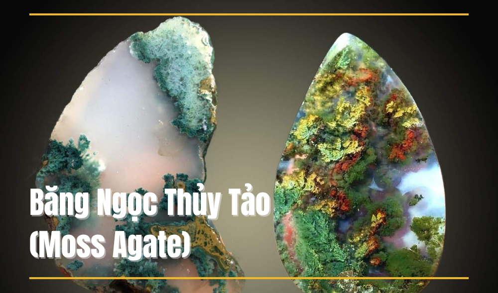 Băng Ngọc Thủy Tảo là gì? Mang ý nghĩa gì? 