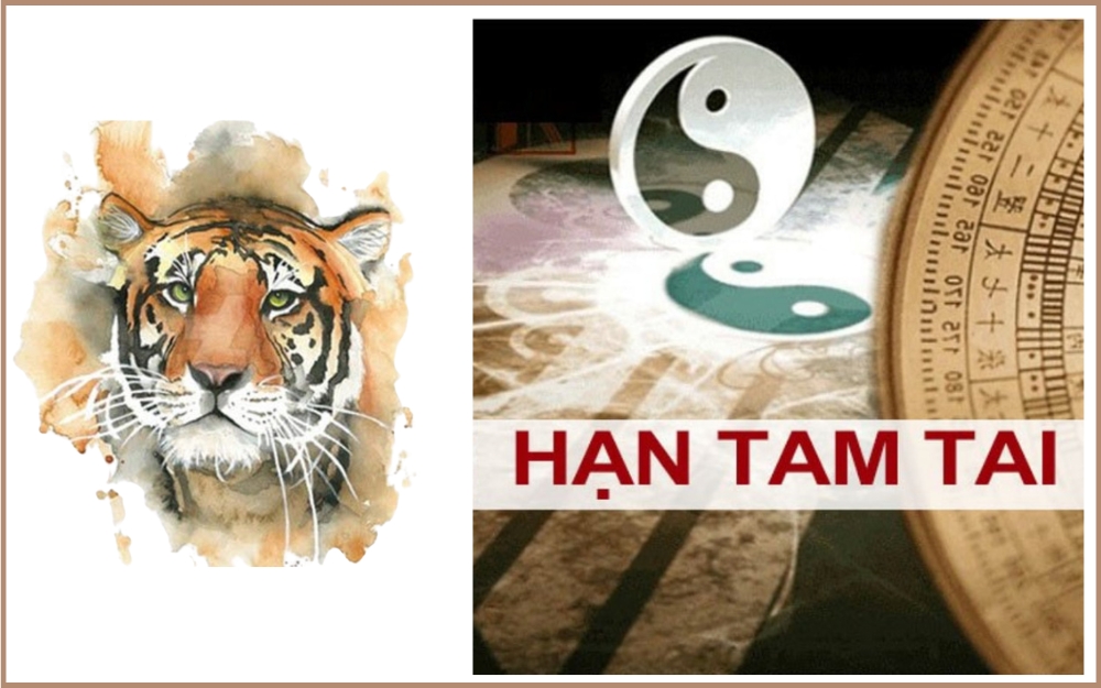 Người tuổi Canh Dần 2010 gặp hạn tam tai vào các năm Thân, Dậu, Tuất
