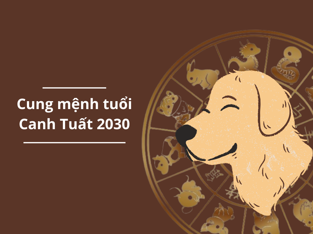 Tuổi Canh Tuất Cung Gì? Tìm Hiểu Ý Nghĩa và Vận Mệnh Của Người Tuổi Canh Tuất
