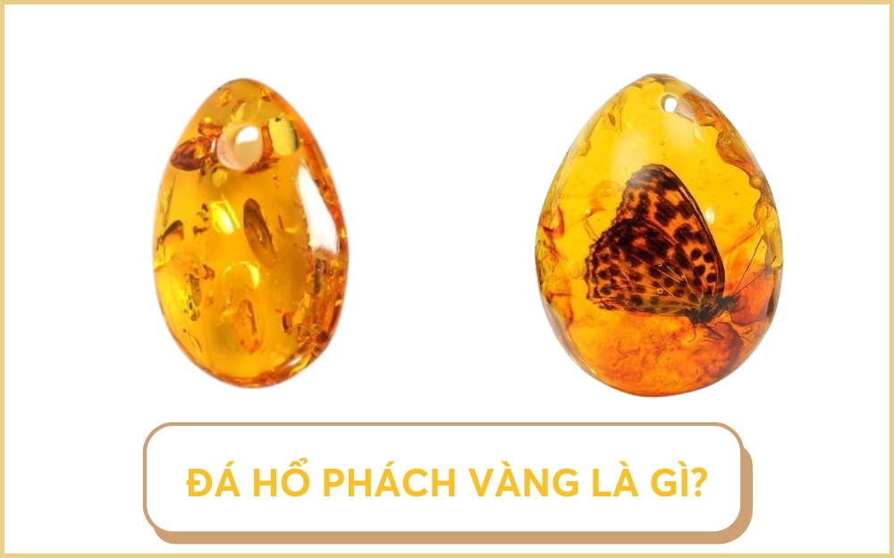 Đá hổ phách vàng nâu Amber là gì?