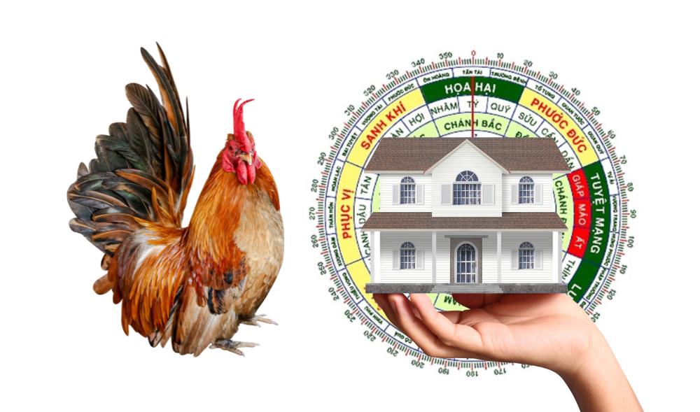 Chọn hướng xây nhà cho tuổi Ất Dậu 2005