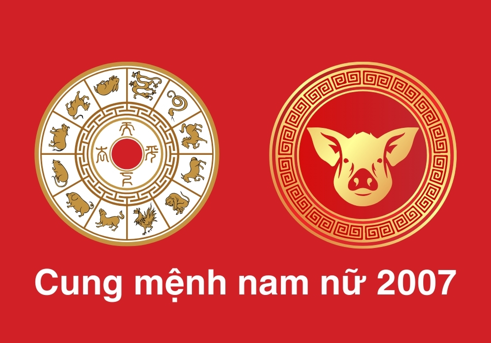 Nam, Nữ Đinh Hợi 2007 mệnh gì, hợp màu gì? Hợp tuổi nào? 4 Nam, nữ Đinh Hợi 2007 mệnh gì cung mệnh gì?