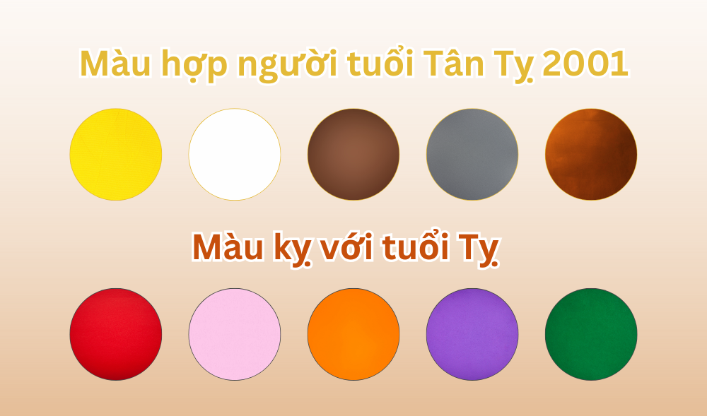 Tuổi Tỵ hợp màu gì? Sinh năm 2001 mệnh gì