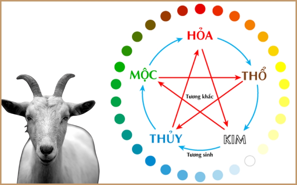 Người sinh năm 2003 hợp với màu nào? Chọn màu sắc phong thủy để thu hút may mắn và tài lộc