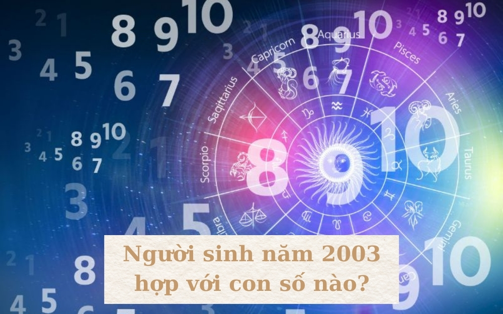 Nam nữ sinh năm 2003 Quý Mùi nên chọn các con số hợp mệnh như 0, 1, 3, 4, 9 để mang lại may mắn và thu hút tài lộc