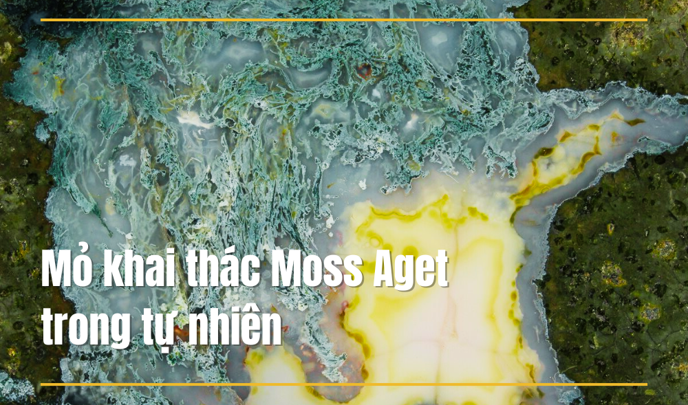 Nguồn gốc của Băng Ngọc Thủy Tảo