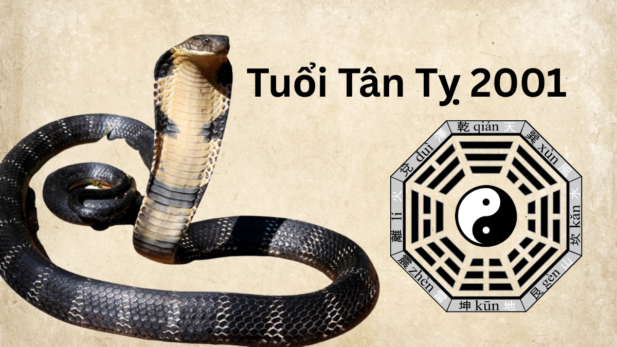 Tuổi Tân Tỵ 2001 mệnh gì? Hợp mệnh, màu nào?