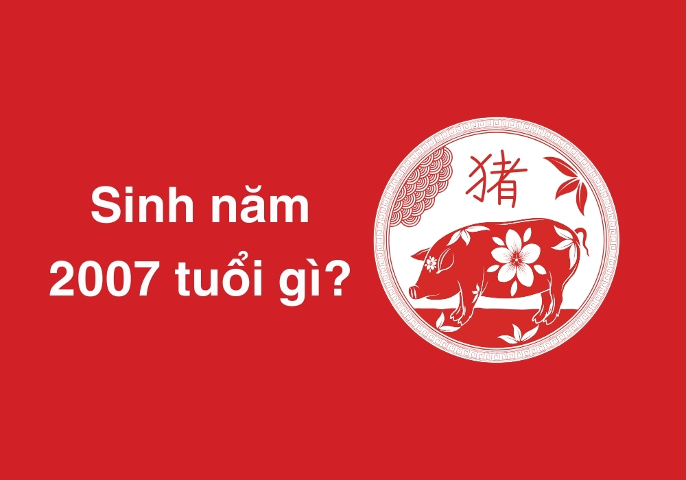 Nam, Nữ Đinh Hợi 2007 mệnh gì, hợp màu gì? Hợp tuổi nào? 3 Sinh năm 2007 tuổi con gì?