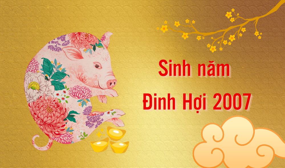 Sinh năm 2007 mệnh gì