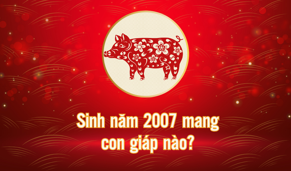 Sinh năm 2009 mệnh gì, tuổi con giáp gì