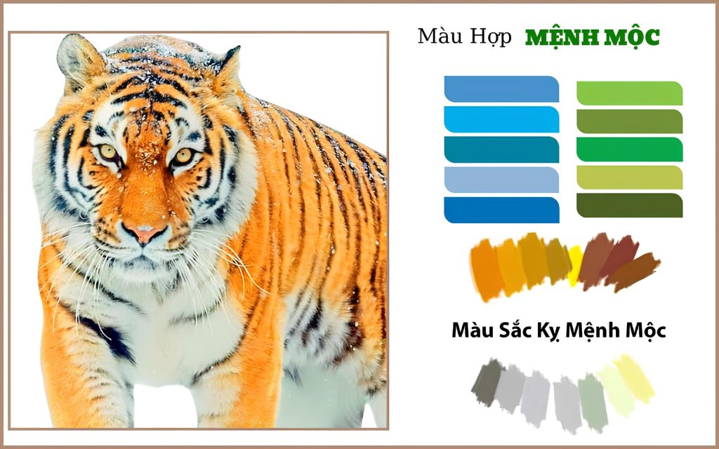 Màu sắc phong thủy cho tuổi Canh Dần 2010 thu hút may mắn
