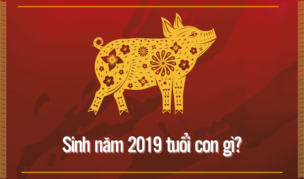 Sinh năm 2019 tuổi gì? Con giáp nào?  