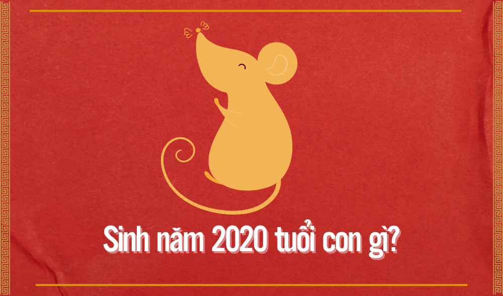 Sinh năm 2020 là tuổi gì? 