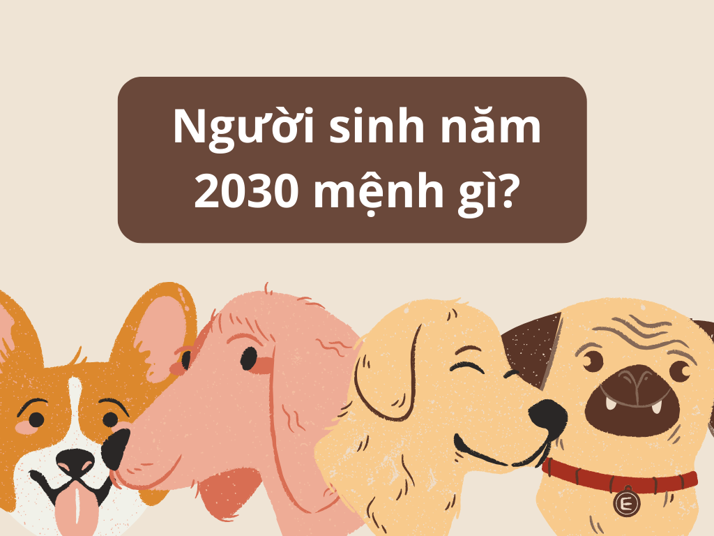 Tuổi Kỷ Mùi Xây Nhà Năm 2030: Tử Vi & Những Điều Cần Biết