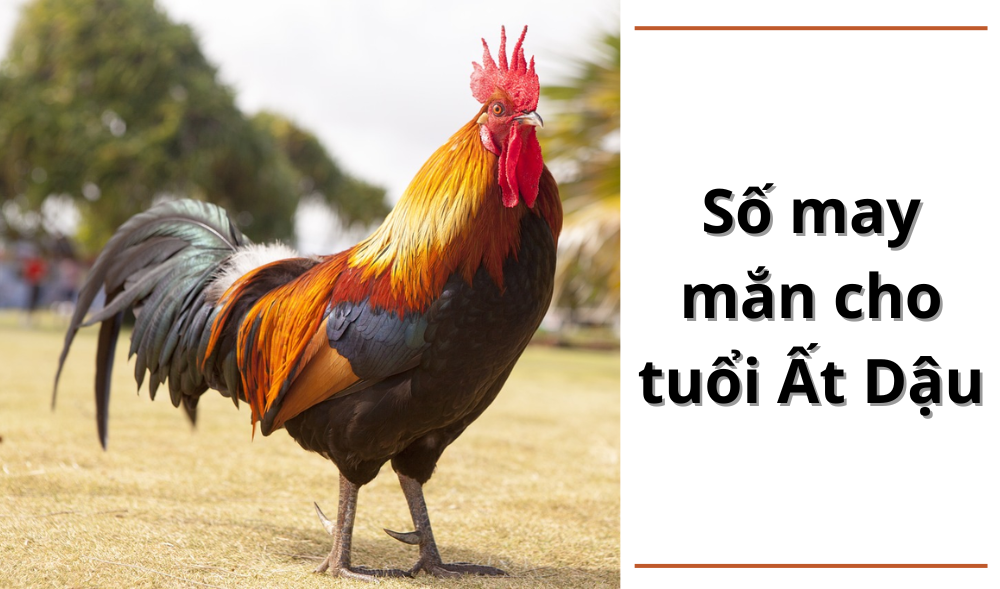 Năm 2005 mệnh gì, số may mắn của tuổi Ất Dậu 2005
