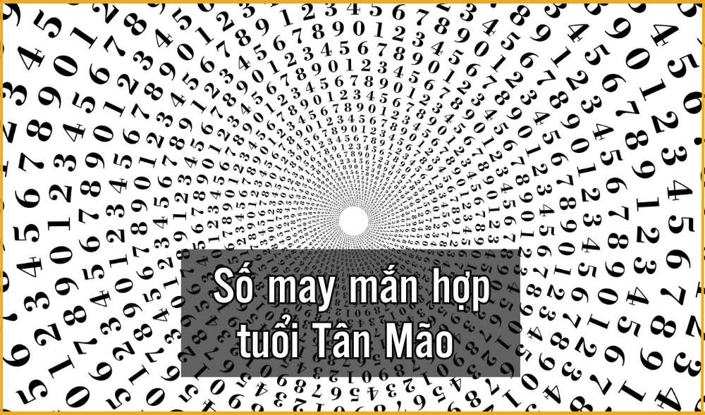 Số may mắn hợp với người sinh năm 2011
