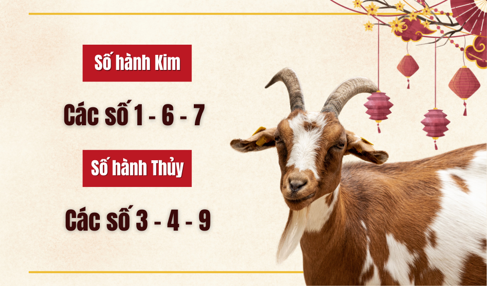 Số may mắn hợp với tuổi Đinh Mùi sinh năm 2027