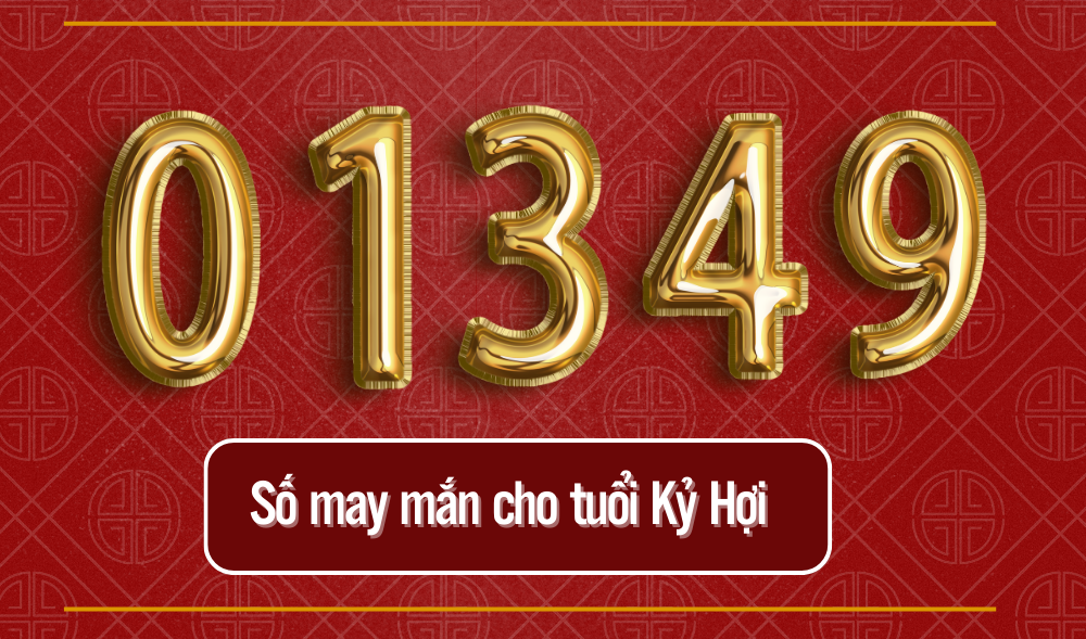 Số may mắn nào hợp với tuổi Kỷ Hợi 2019?