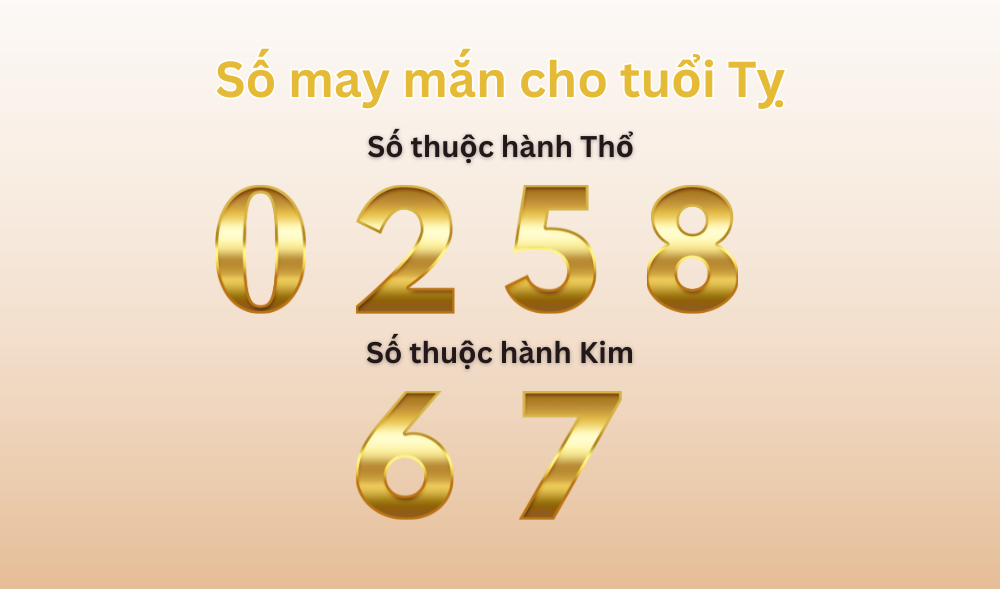 Áp dụng thì dù 2001 mệnh gì thì vẫn tăng cường vận khí