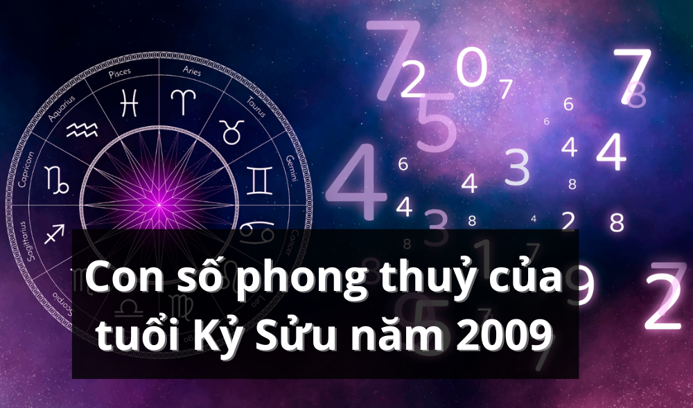Những con số phù hợp với người sinh năm 2009 mệnh gì