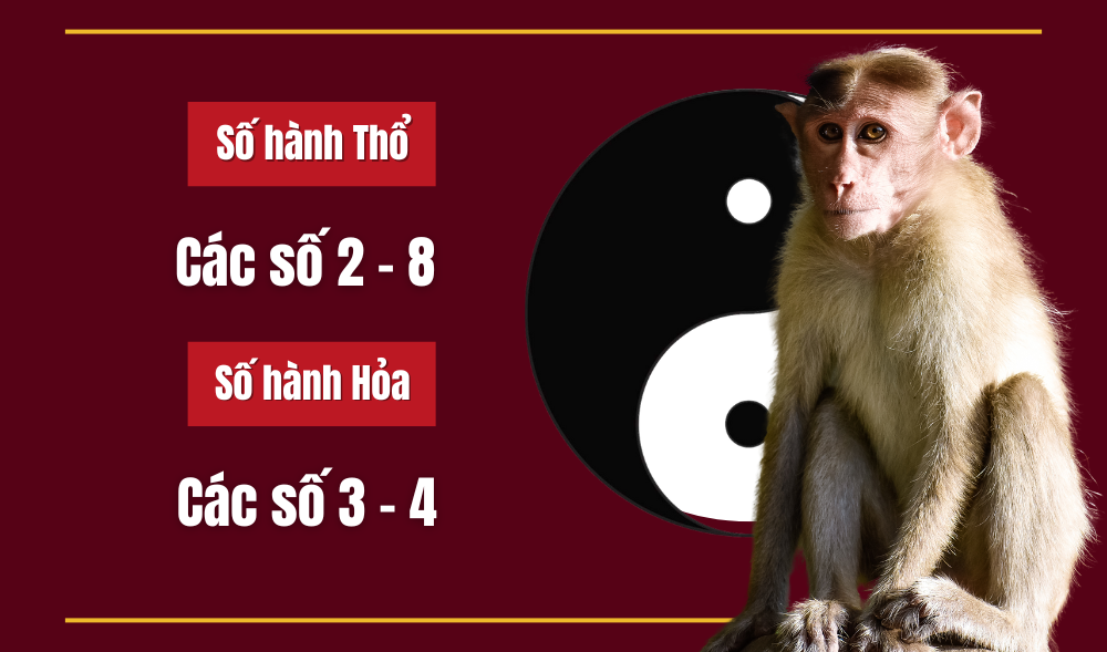 Số may mắn với Mậu Thân sinh năm 2028