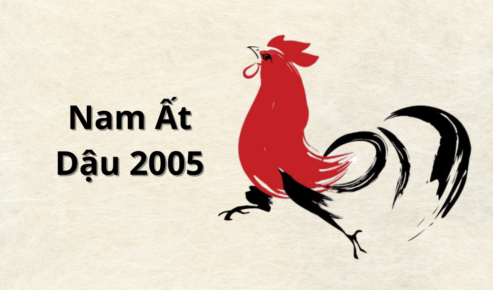 Tính cách của nam Ất Dậu 2005