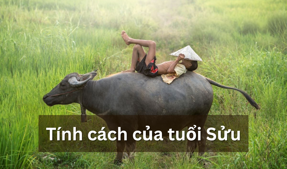 Tính cách của người tuổi Kỷ Sửu