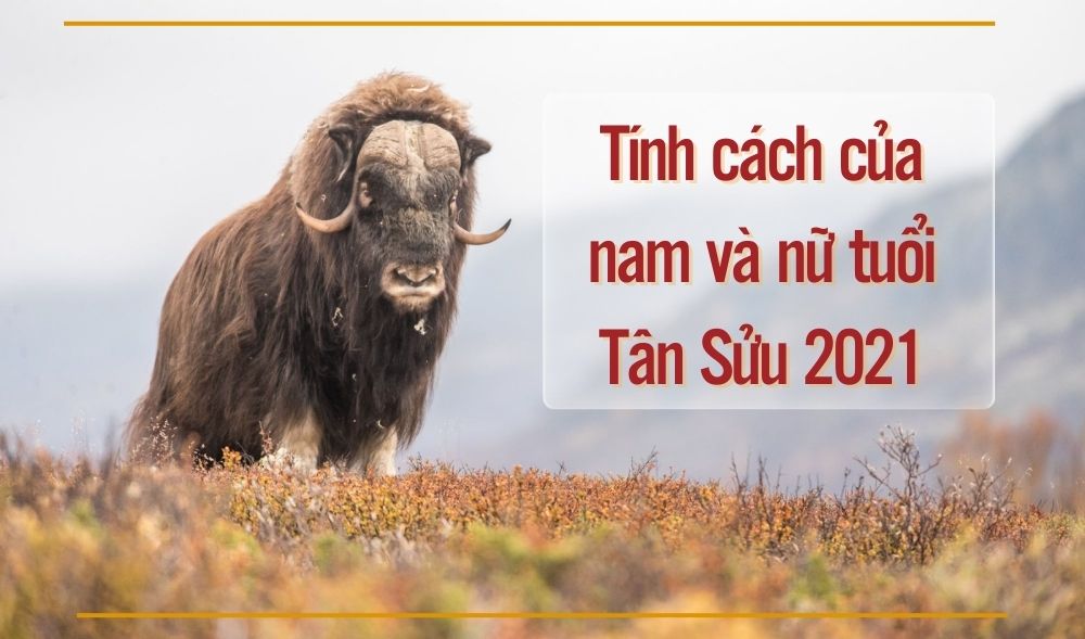 Tính cách của tuổi Tân Sửu 2021