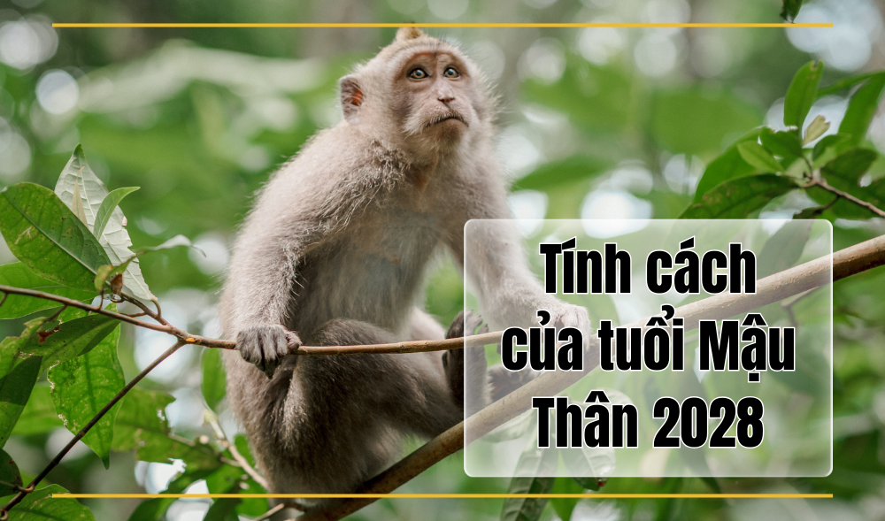 Tính cách người sinh năm 2028