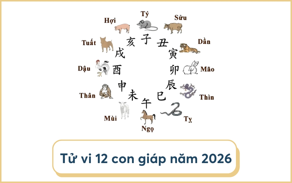 Lá số tử vi 12 con giáp trong năm 2026 Bính Ngọ