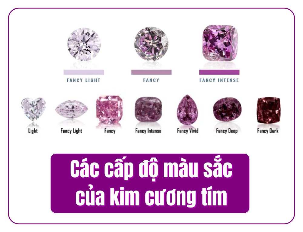 Màu sắc kim cương tím từ Faint đến Fancy Dark