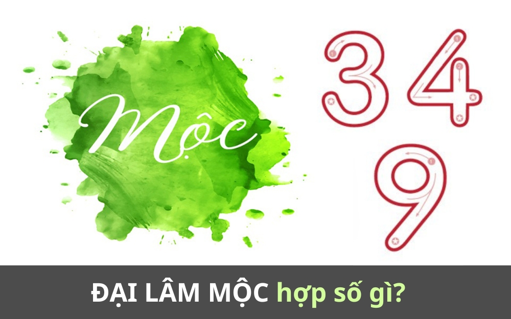 Người mệnh Đại Lâm Mộc hợp số nào? Kỵ số nào?