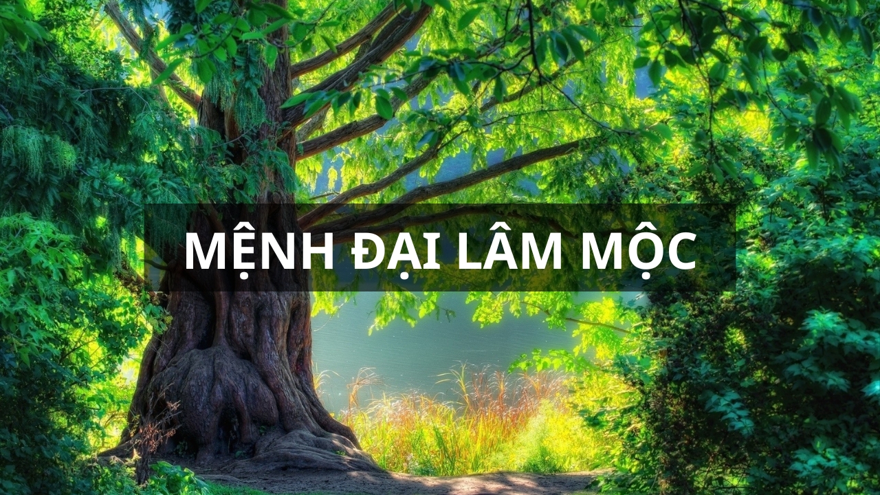 Mệnh Đại Lâm Mộc