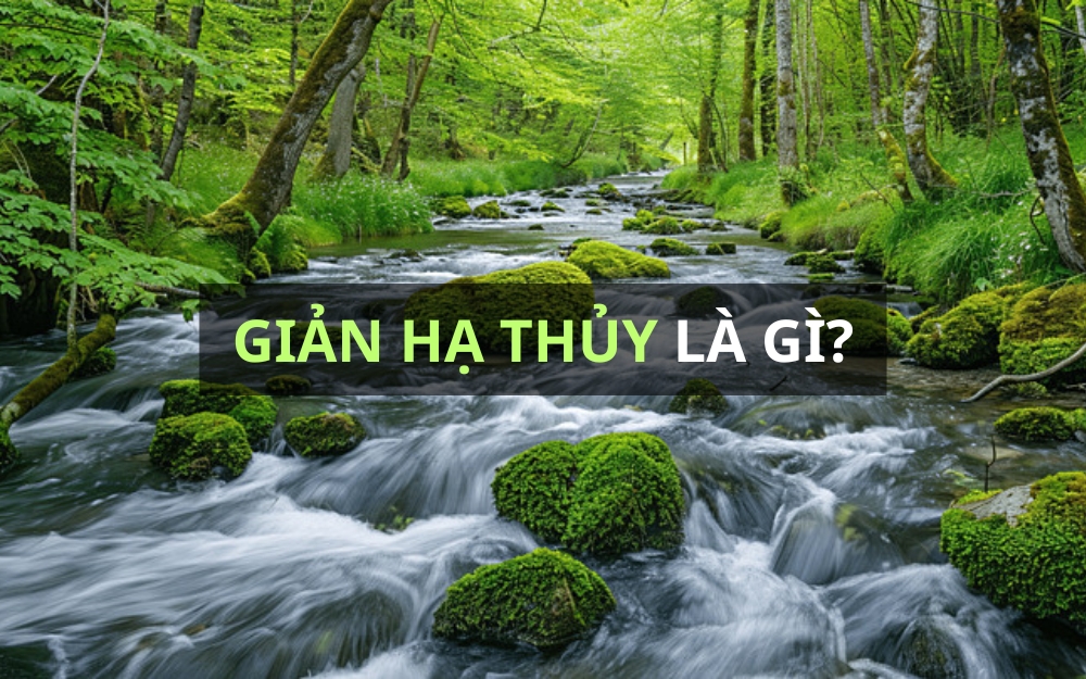 Giản Hạ Thủy - Nước dưới khe là gì?