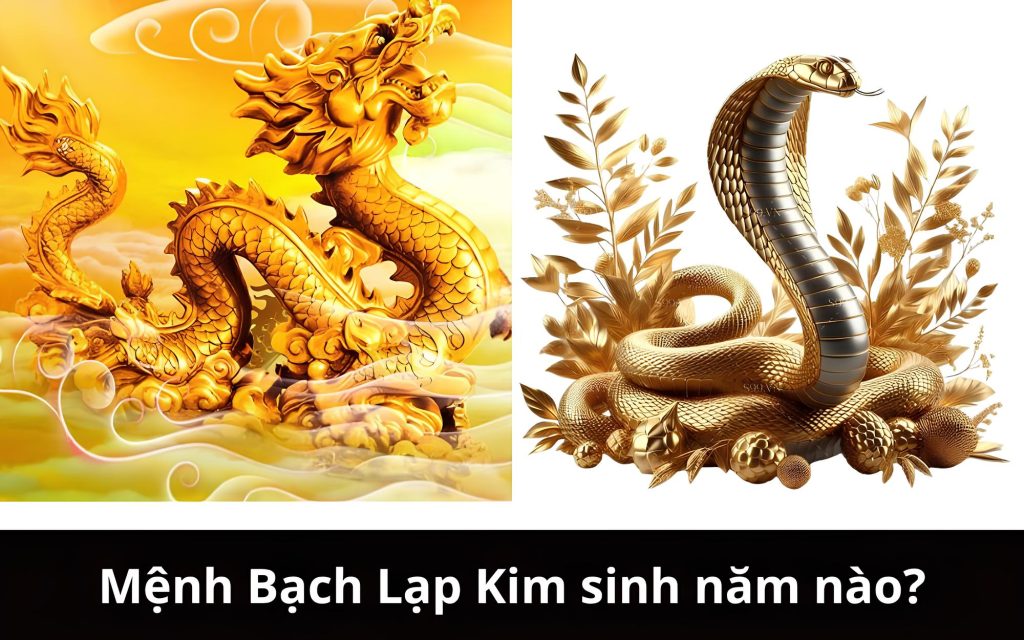 Người mệnh Bạch Lạp Kim sinh năm nào?