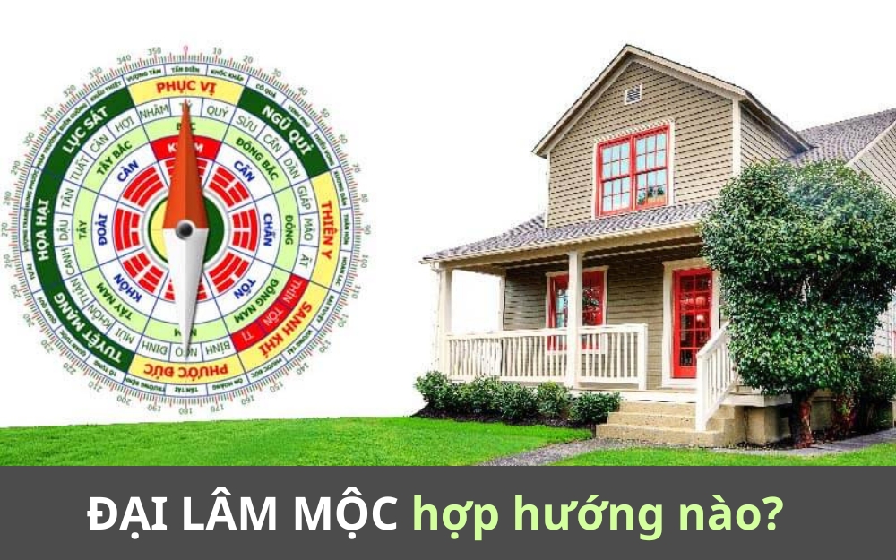Người mệnh Đại Lâm Mộc hợp hướng nhà nào?