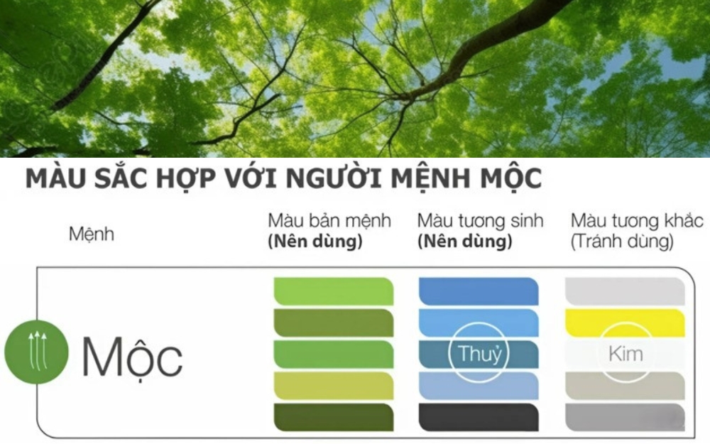 Người mạng đại lâm mộc hợp màu gì? Kỵ màu gì?