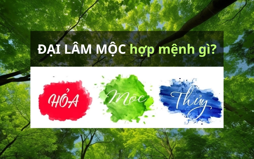 Người mệnh đại lâm mộc hợp với mệnh gì?