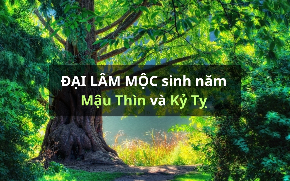 Người mệnh đại lâm mộc sinh năm bao nhiêu?