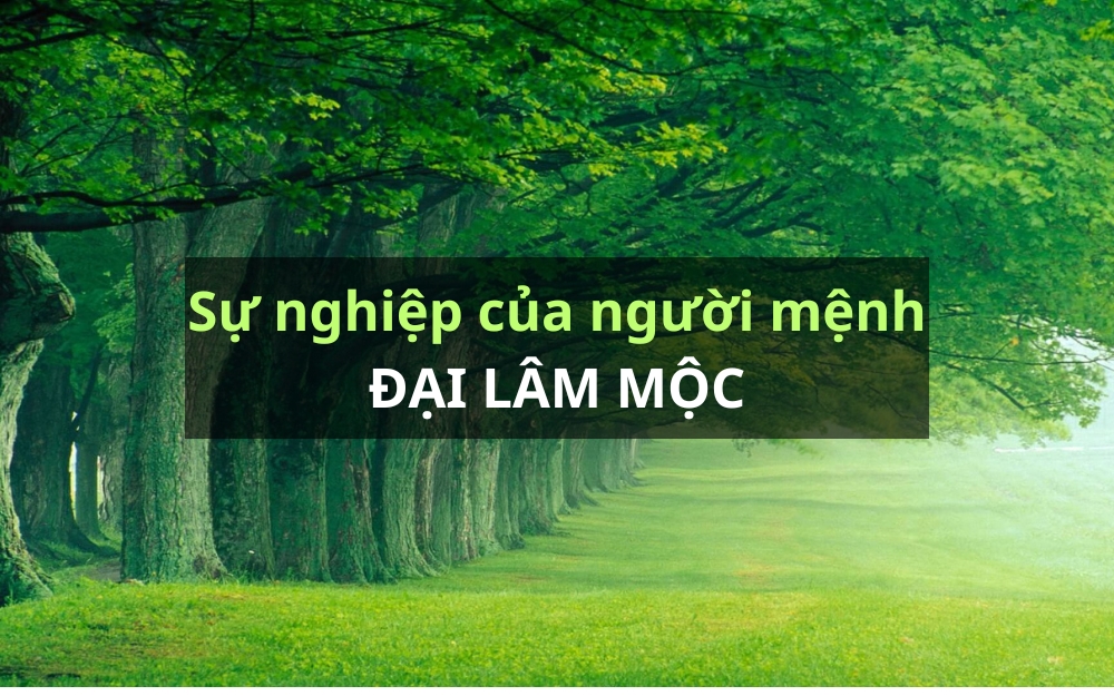 Người mạng đại lâm mộc hợp nghề gì?