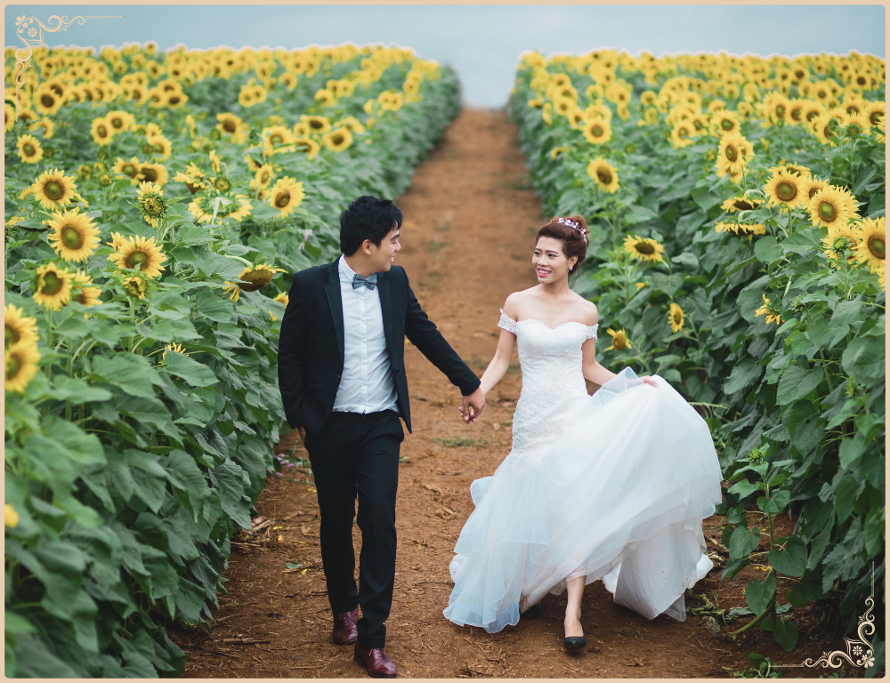 cách tạo dáng chụp ảnh cưới trên cánh đồng hoa