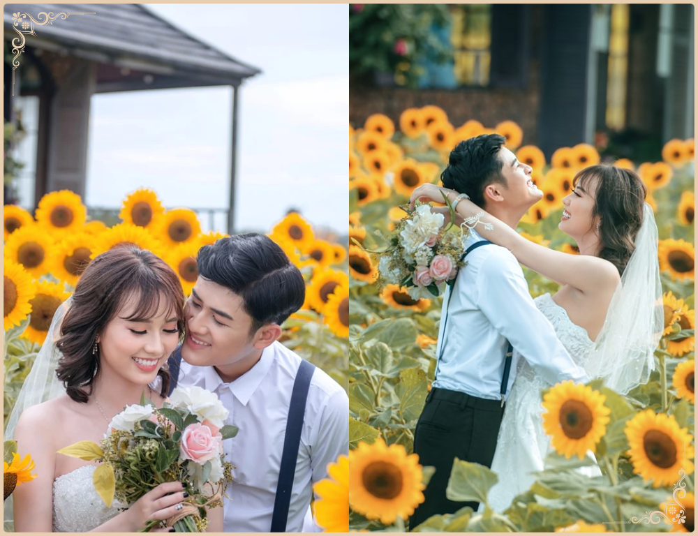 Tạo dáng chụp ảnh cưới trên cánh đồng hoa