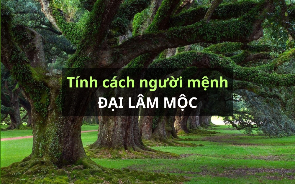 Tính cách Đại Lâm Mộc như thế nào?
