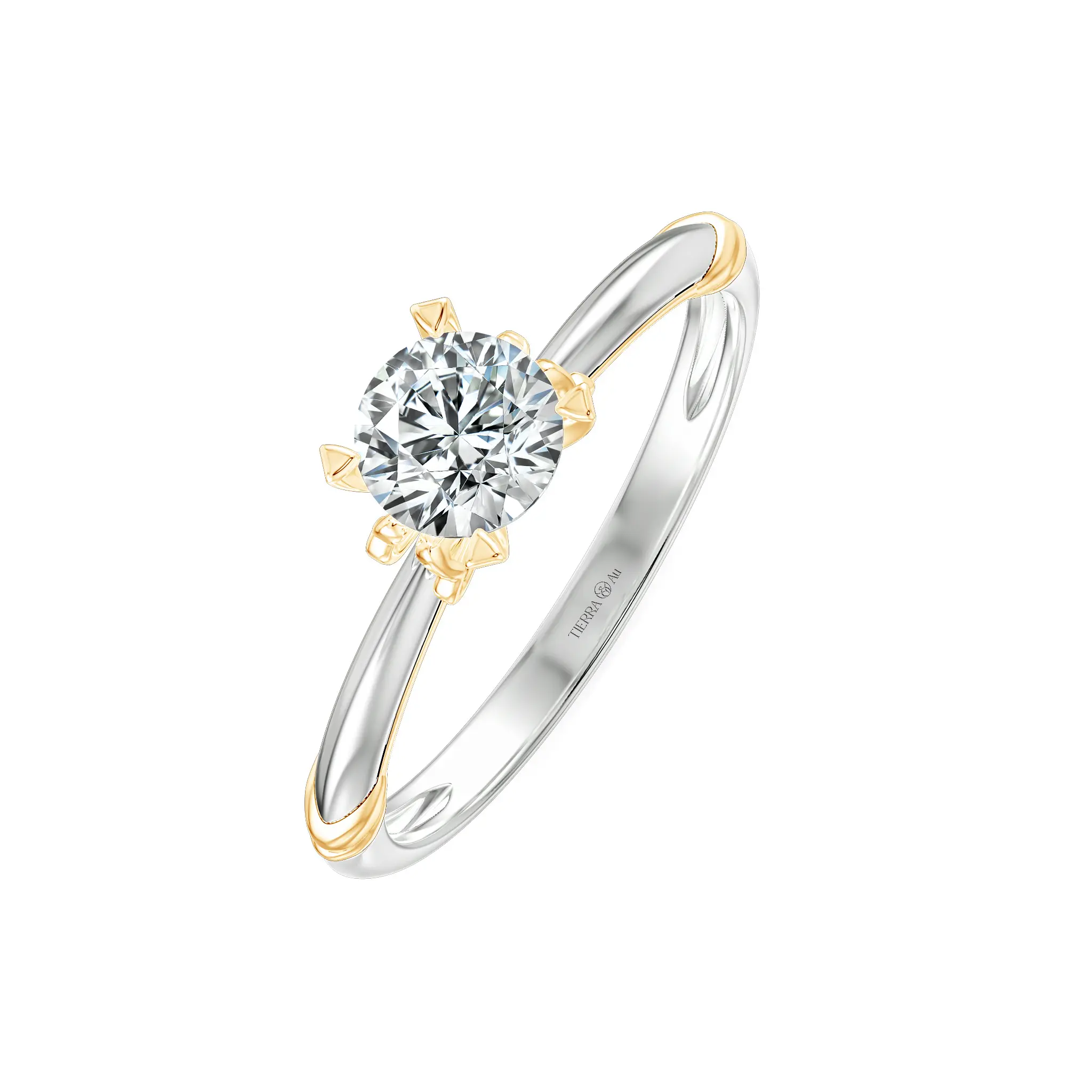 Image Related Product