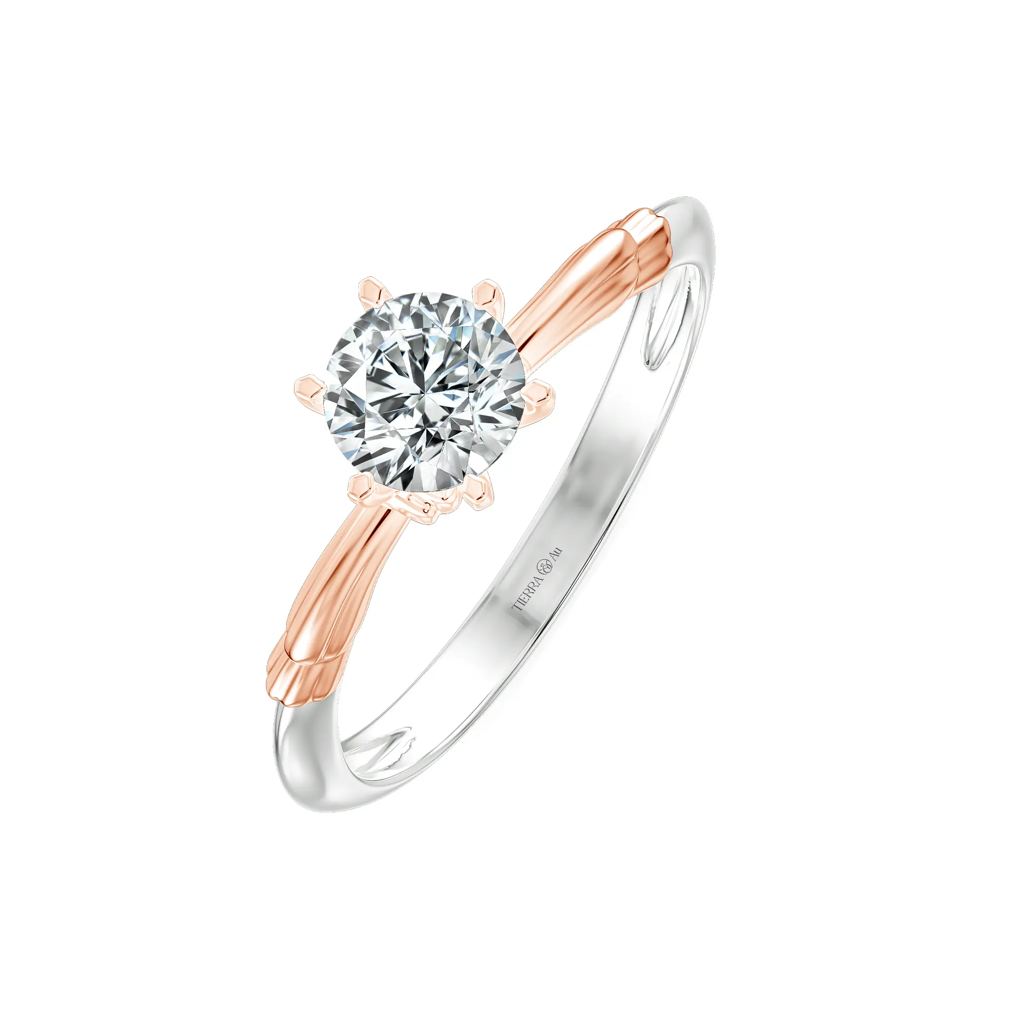 Image Related Product